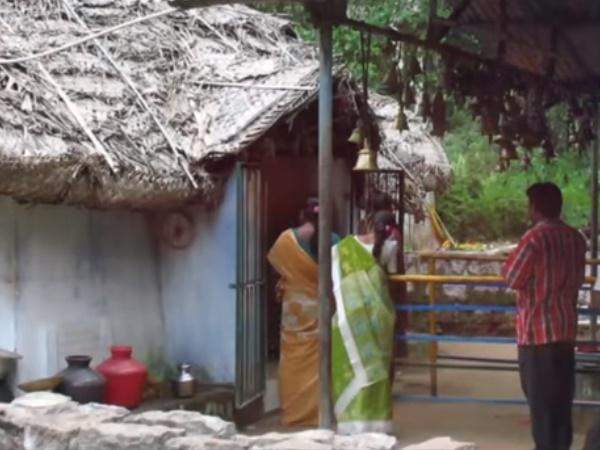 எஞ்சியது இது மட்டுமே