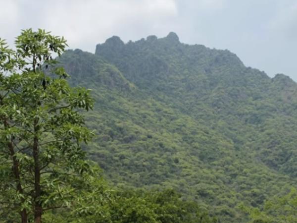 சித்தர்கள் செய்யும் மர்மங்கள்