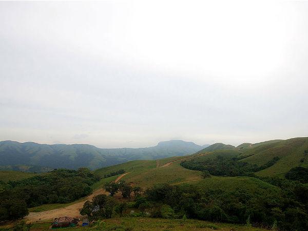 இந்த சரணாலயத்திற்கு போயிருக்கீங்களா? மிஸ் பண்ணக் கூடாத இடங்களில் ஒன்று இந்த சரணாலயத்திற்கு போயிருக்கீங்களா? மிஸ் பண்ணக் கூடாத இடங்களில் ஒன்று