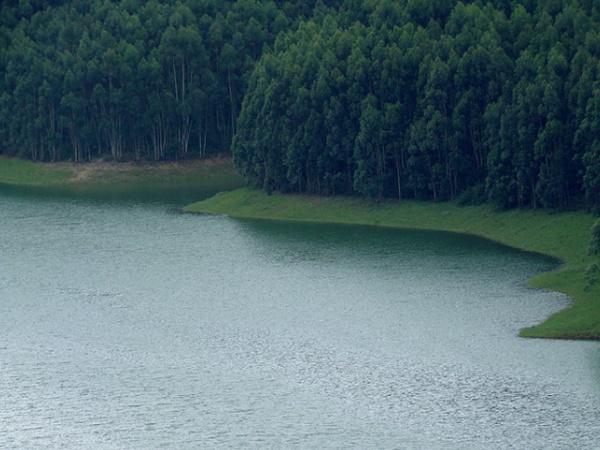 மழைக்கு முன் மூணாறு