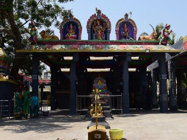 சிறப்பு வழிபாடுகள்