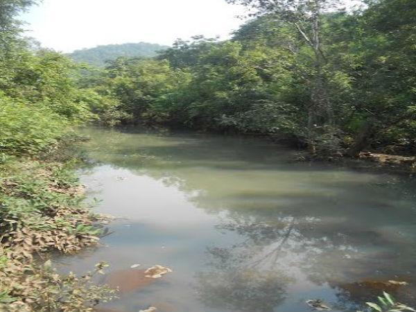 அஸ்வதம்மா