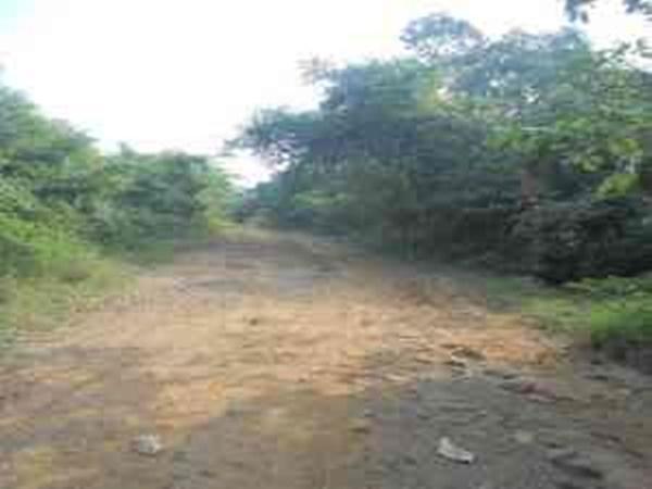 மலை செல்லும் வழியில்