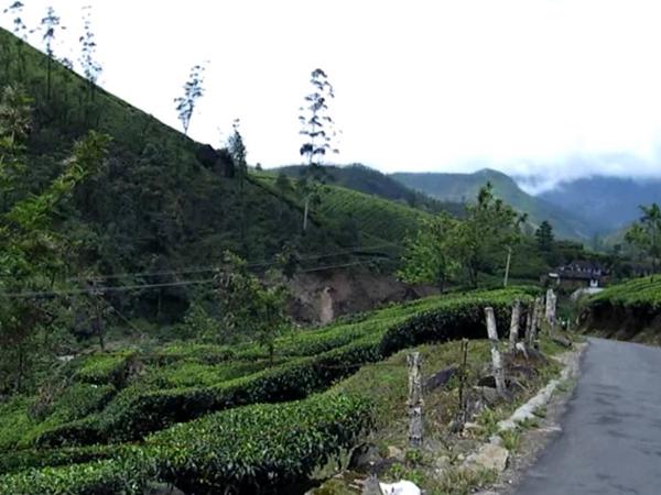 பொத்தன்மேடு