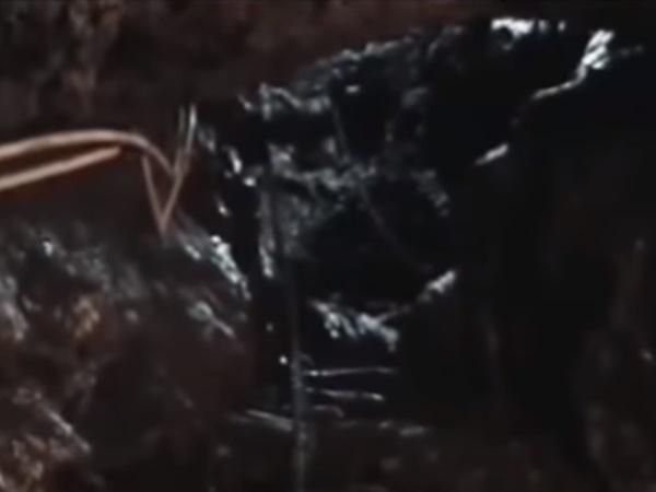 கந்த புராணம் முன்பே சொன்னது
