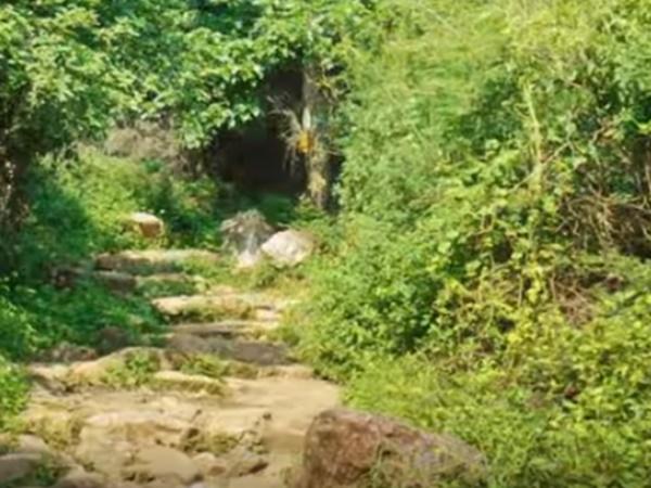 அலுப்பு தெரியாது