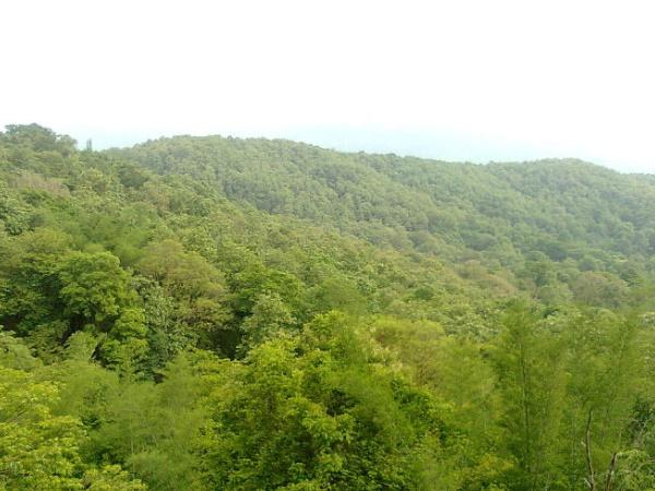 பரம்பிக்குளம் காட்டுயிர் சரணாலயம்