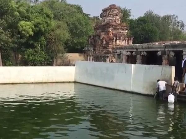 வருடம் முழுவதும்