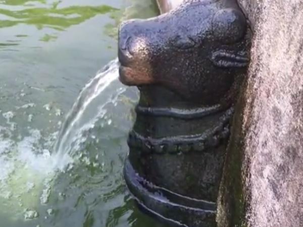 சுவையான தண்ணீர்