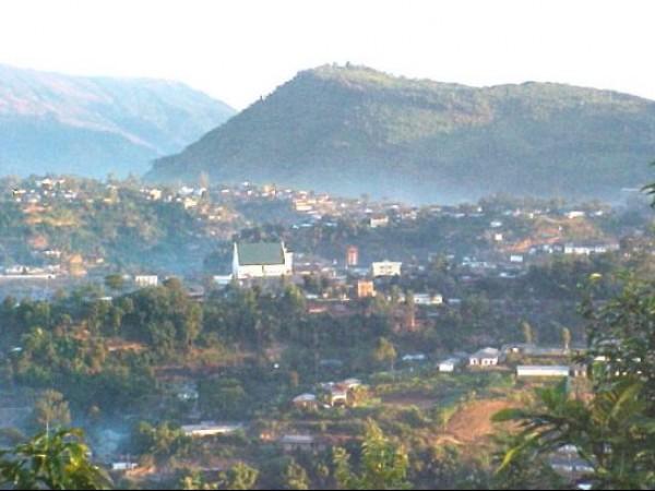 மான்
