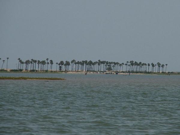 பழவேற்காடு - வரலாற்று சிறப்பு மிக்க கடற்கரை ஏரி பழவேற்காடு - வரலாற்று சிறப்பு மிக்க கடற்கரை ஏரி