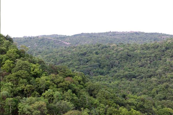 சுவர்ணமுகி குன்று