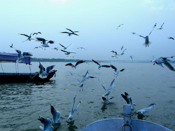 திரிவேனி சங்கமம்: