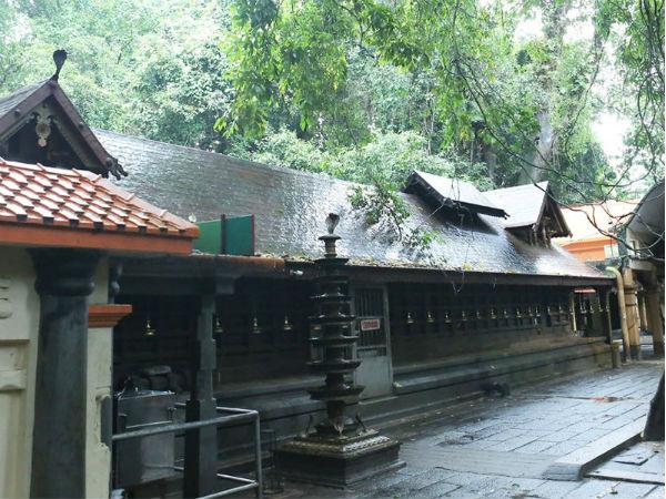 நாகராஜர் அவர் முன் தோன்றிய விதம்: