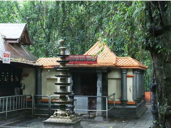 வாசுதேவா மற்றும் ஸ்ரீ தேவியின் கதை: