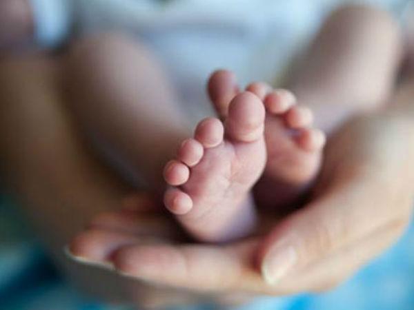 காட்டில் பிறந்த சிங்க குட்டி