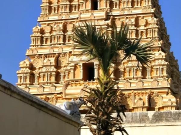 கோயில் முழுவதும் அறிவியல் புதிர்கள்