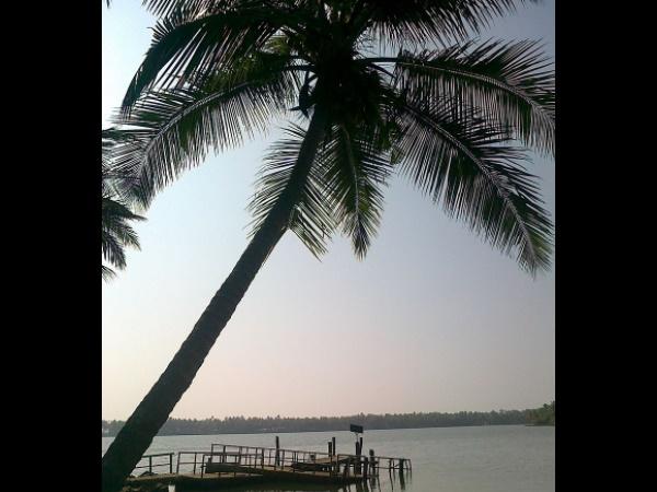 காவாயி தீவுகள்