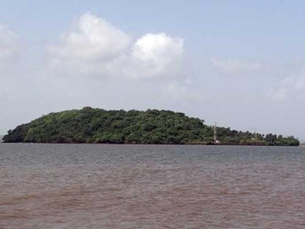 ஜாவோ ஜாசின்டோ