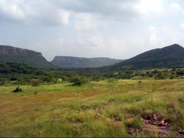 ரணதம்போர் தேசிய பூங்கா