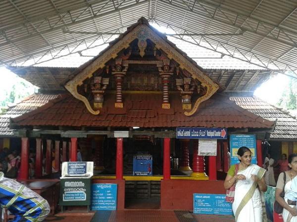 மாடாயி காவு