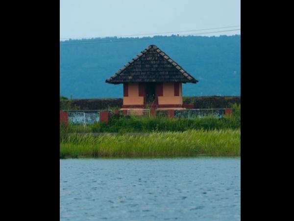 வயல் வெளி