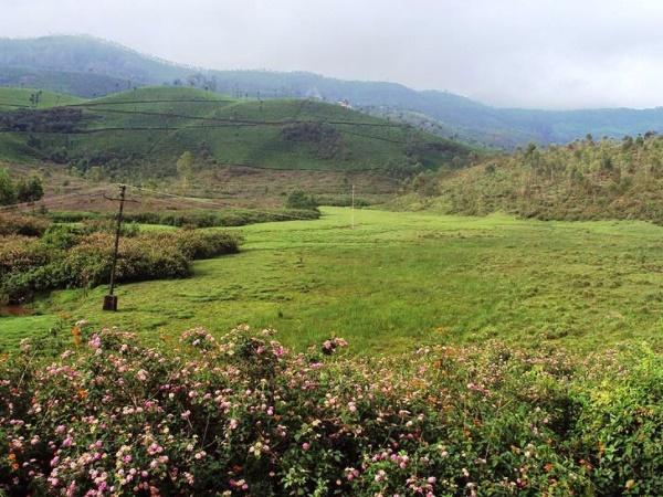 வெப்பநிலை