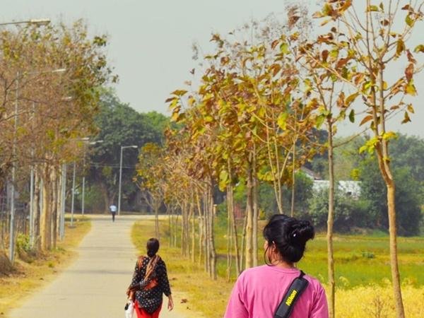 மலர்களின் தோட்டம்