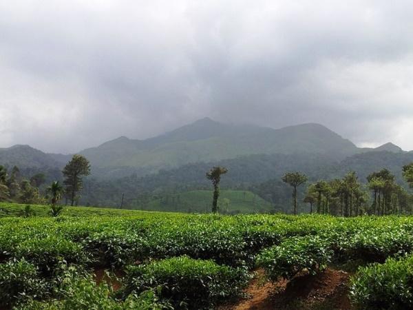 சாகசங்கள் நிறைந்த வயநாடு சுற்றுலா