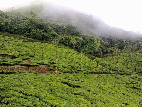 செம்பரா சிகரம்