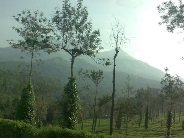 சோகத்தில் ஆழ்ந்த சுற்றுலா பயணிகள்
