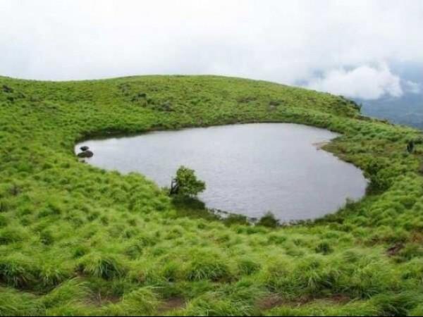 இதய வடிவ குளம்