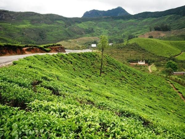 தேவிகுளம்