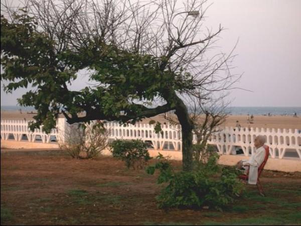 மெரினா கடற்கரை