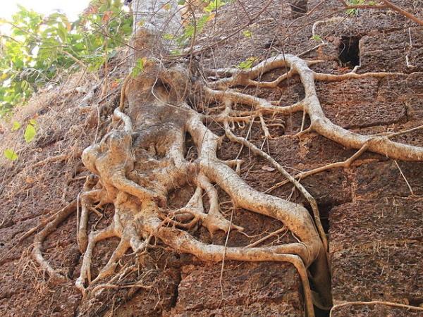 மண்ணில் கிடந்த சிலை