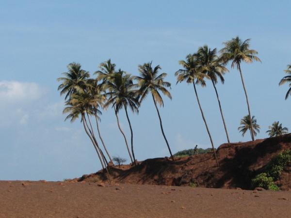 சுற்றுலாத் தளம்