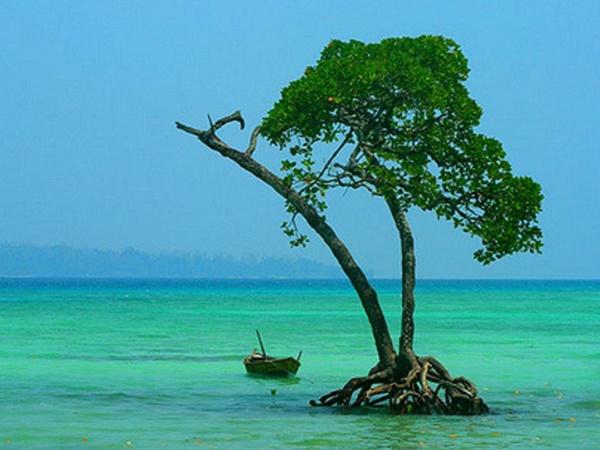 சூழலியல் சுற்றுலாத்தளம்