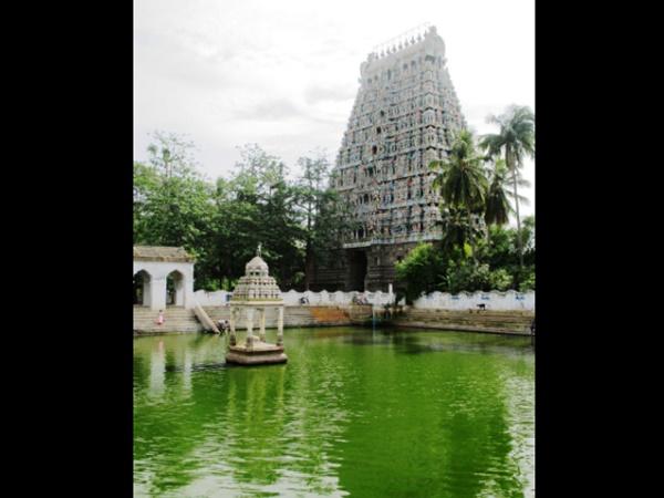 மயூரநாதர்