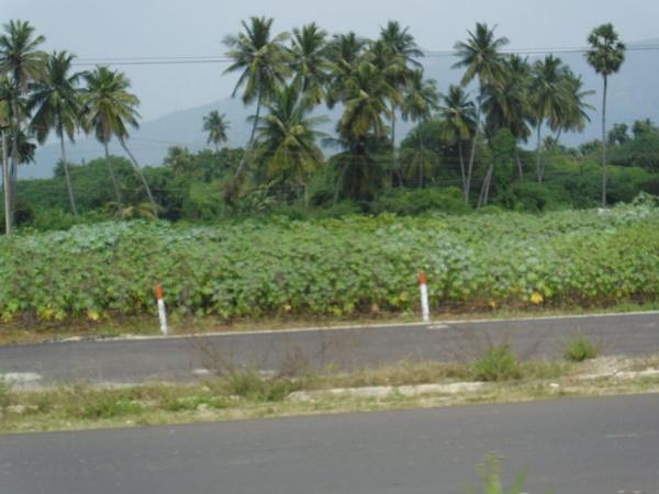 சோதனை