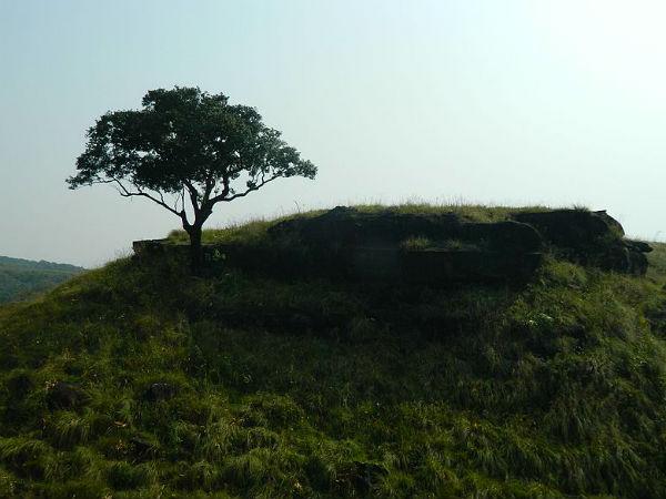 பல்பக்ரம் காடு, மேகாலயா: