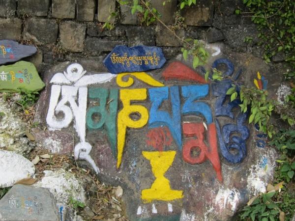 மெக்லியோட் கஞ்ச்: