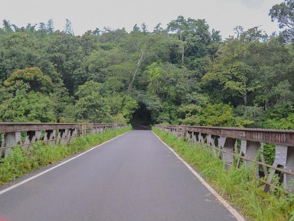 அதிரப்பள்ளி: