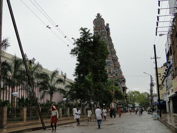 ஆரப்பாளையத்திலிருந்து
