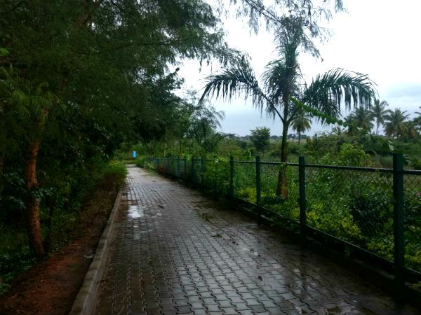 போக்குவரத்து