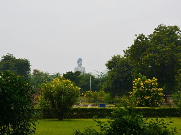 புத்துயிர் பெற்றது