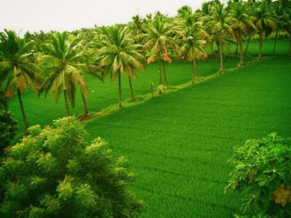 பயண சுற்றுலா