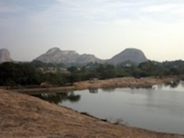 பல்லவர்களின் கீழ் நார்த்தமலை