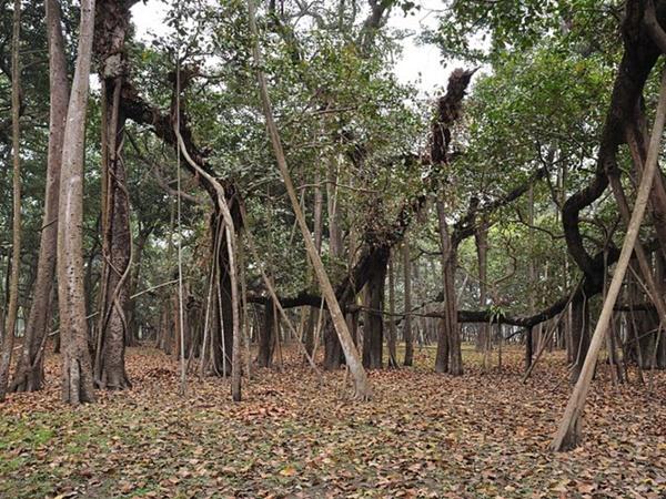 இந்த பூங்காவின் மூலை முடுக்கெல்லாம் சுற்றலாம் வாங்க
