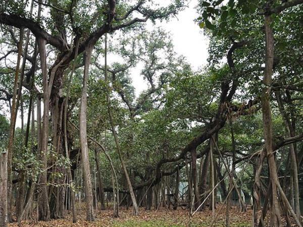 இந்த பூங்காவின் மூலை முடுக்கெல்லாம் சுற்றலாம் வாங்க