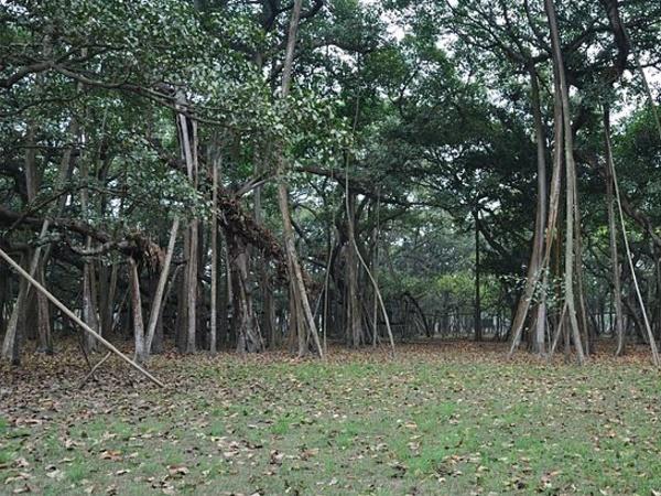இந்த பூங்காவின் மூலை முடுக்கெல்லாம் சுற்றலாம் வாங்க